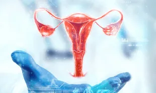 Gynecologist