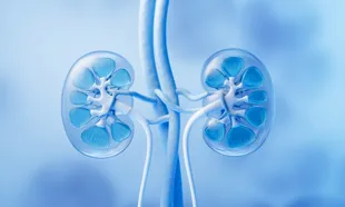 Nephrologists- Kidney Specialist