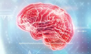 Neuro Medicine specialist