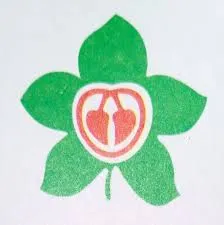 Patuakhali Heart Foundation and Diagnostic Center