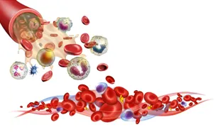 Blood Cancer Specialist
