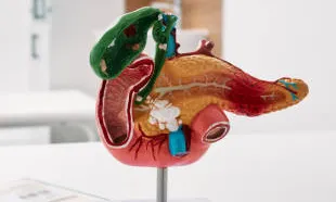 Digestive System Specialist
