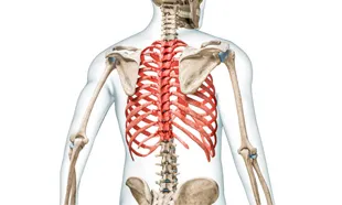 Thoracic Surgeon